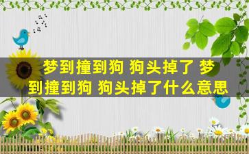 梦到撞到狗 狗头掉了 梦到撞到狗 狗头掉了什么意思